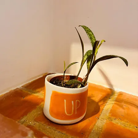 Sun Secondo - Piccolo Monolocale Nel Centro Di * Torino